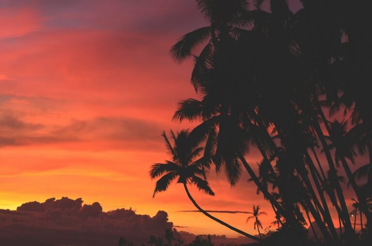 Holistic Optimization Protocol: Transient Wellness for Digital Nomads